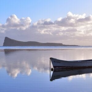 Reflection