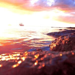 Movement in Stillness