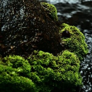 Flowing