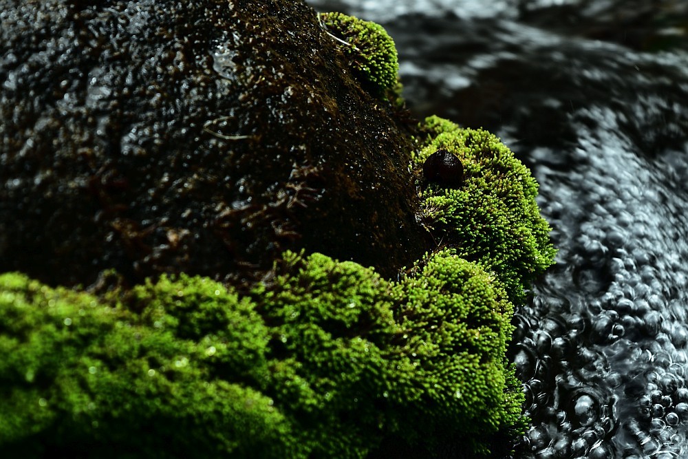 Flowing